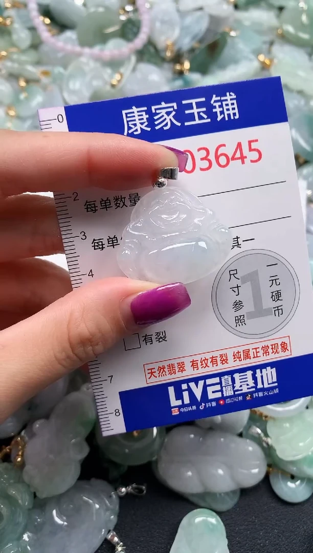 颈饰未镶嵌翡翠3645
