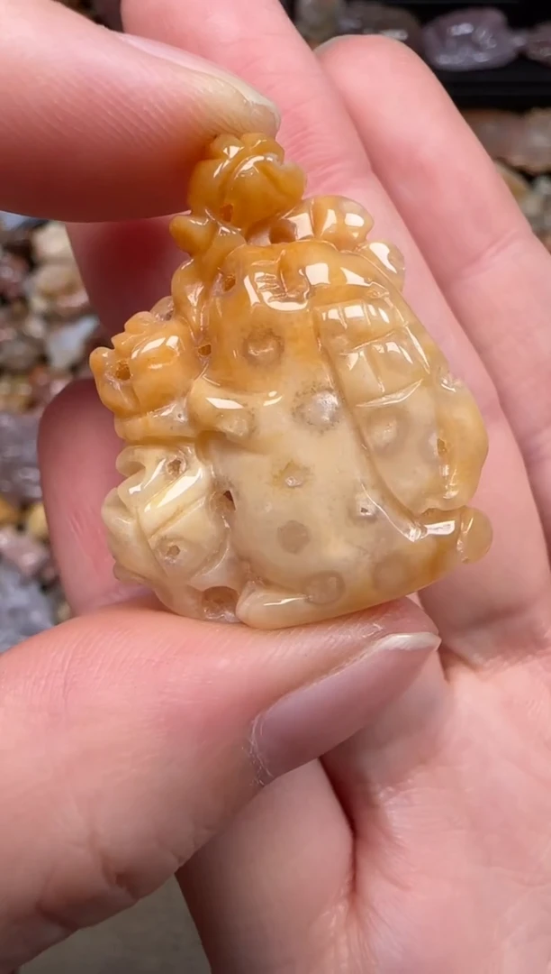 硅化珊瑚（珊瑚玉）未镶嵌颈饰212