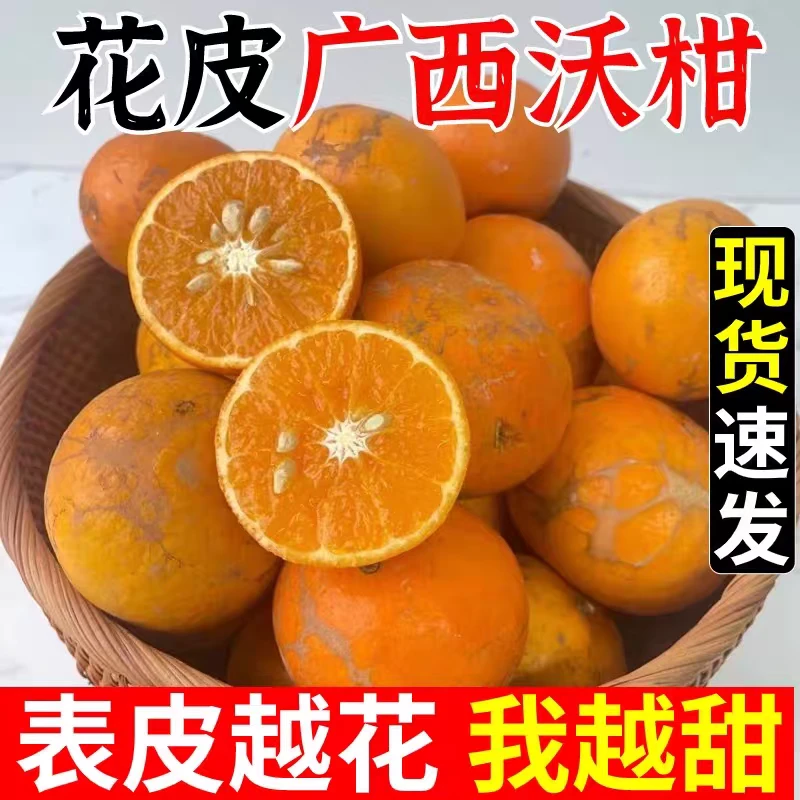 B【武鸣沃柑】广西高山老树花皮沃柑新鲜应季孕妇水果甜橘爆汁桔子