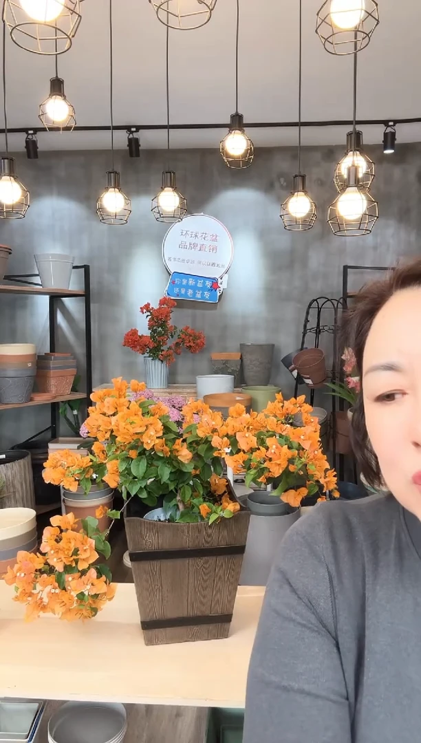 12寸松木木桶浅色3只