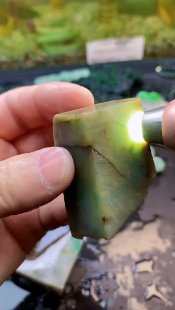 【闪购商品】翡翠颈饰未镶嵌200天然翡翠