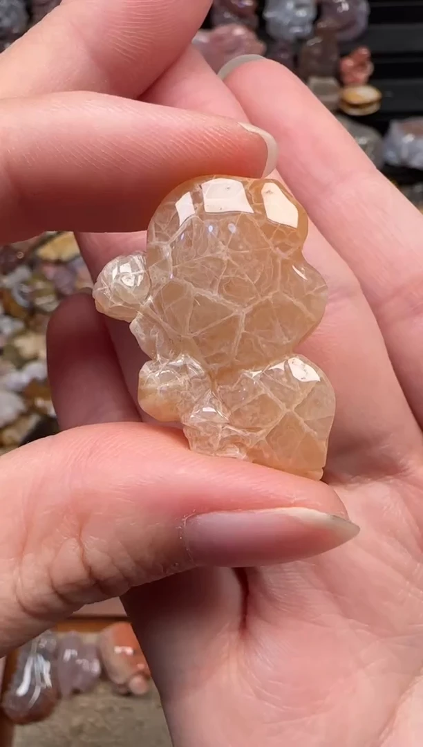 颈饰未镶嵌硅化珊瑚（珊瑚玉）126