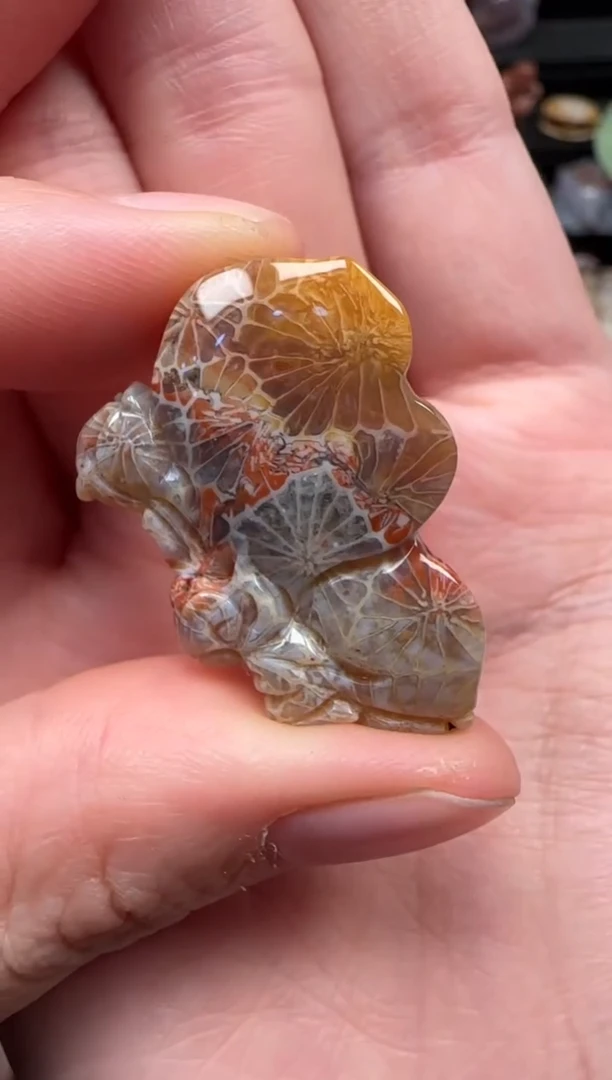 颈饰未镶嵌硅化珊瑚（珊瑚玉）577