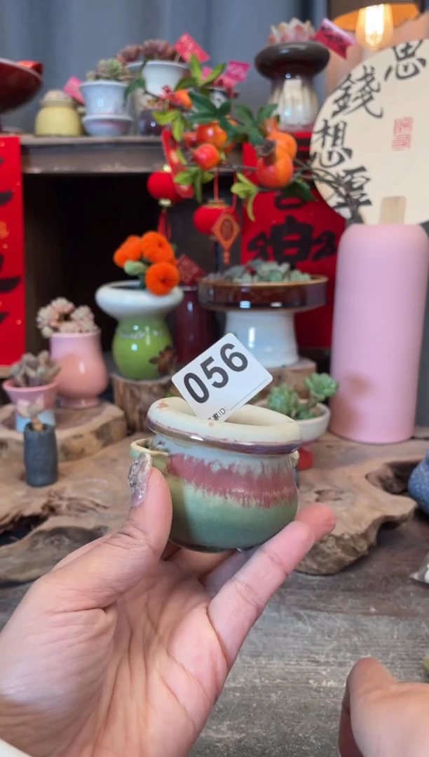 【闪购商品】摆件056知木小芳花盆