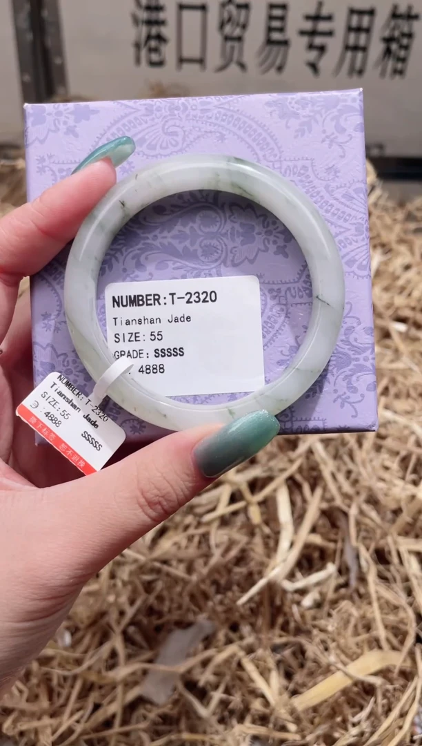 未镶嵌手镯石英质玉T2320Z