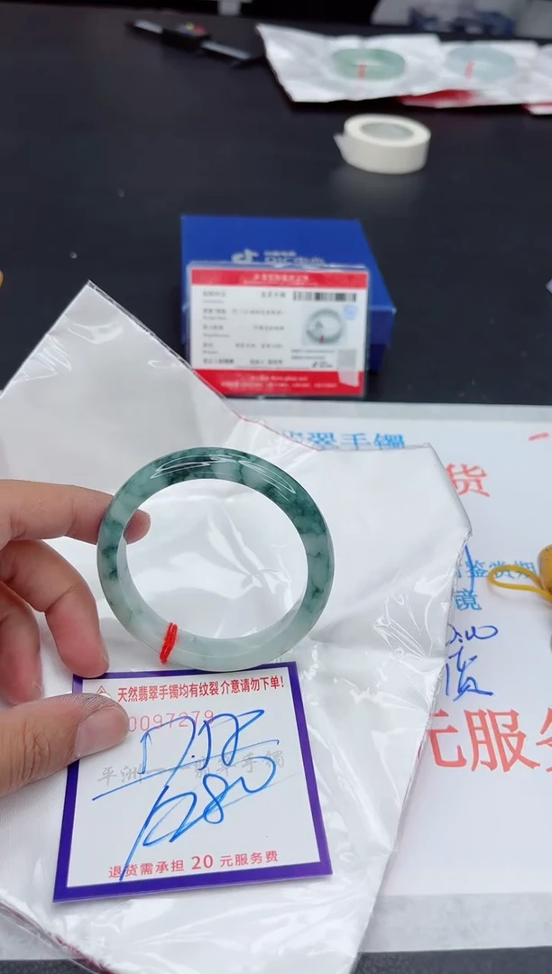 未镶嵌手镯翡翠111111