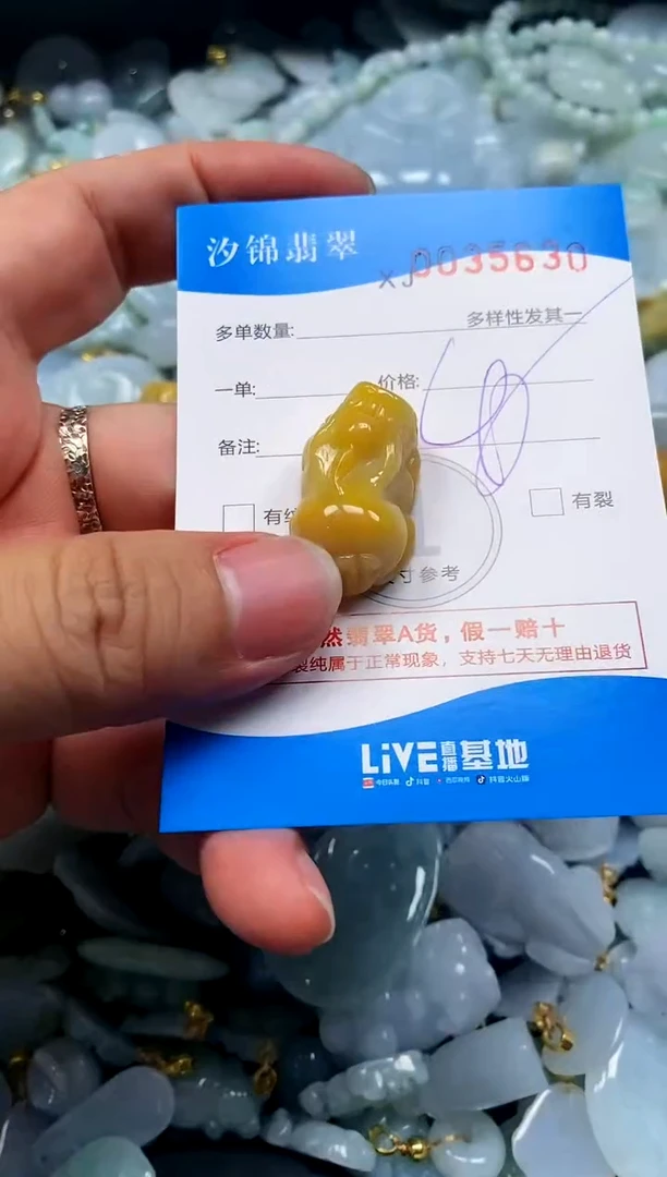 颈饰未镶嵌翡翠闪购商品0035630