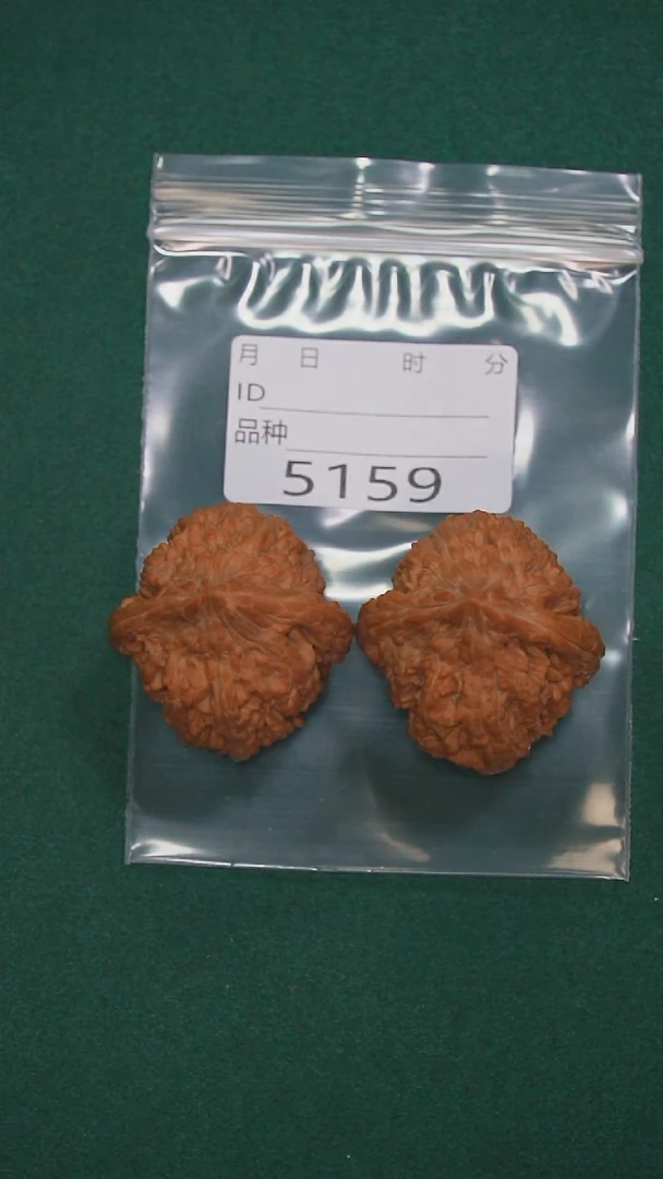 把件文玩核桃小**?42大沽石