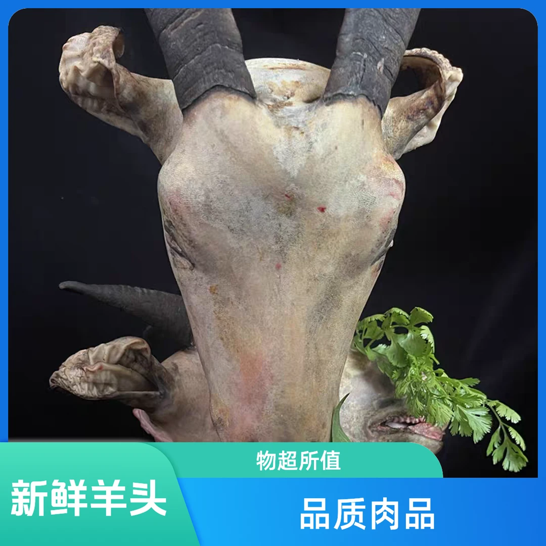 黑山羊【羊头】新鲜羊头  一物一拍