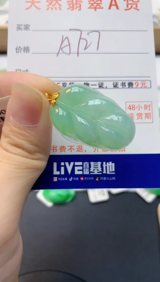 颈饰18K金镶嵌翡翠天然缅甸A货翡翠百元以上9元证书费自理