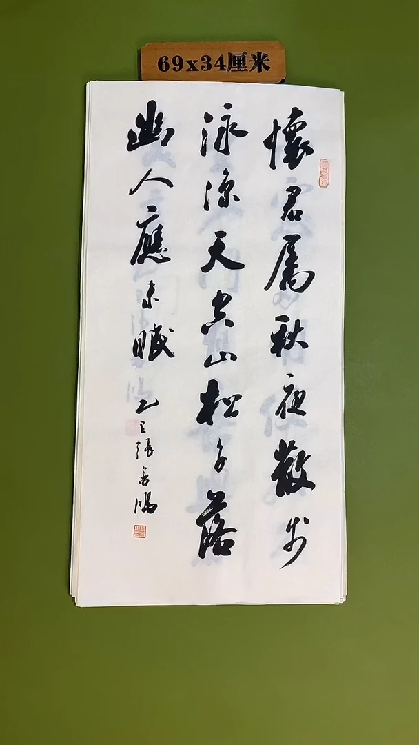 书法书法 张若鸿 尺寸69cm*34cm
