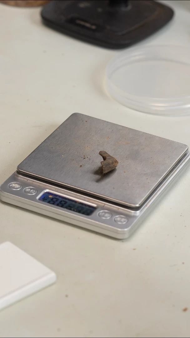 沉香沉香碎屑芽庄沉水料0.9g