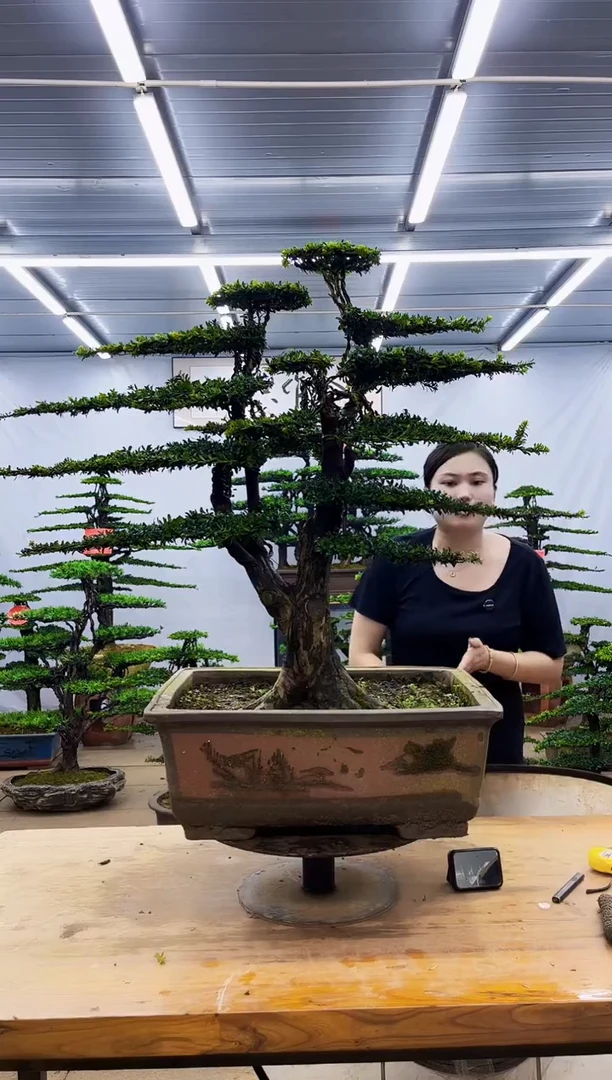 无花朵阿*一物一拍，所见即所得