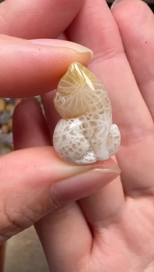 颈饰未镶嵌硅化珊瑚（珊瑚玉）207