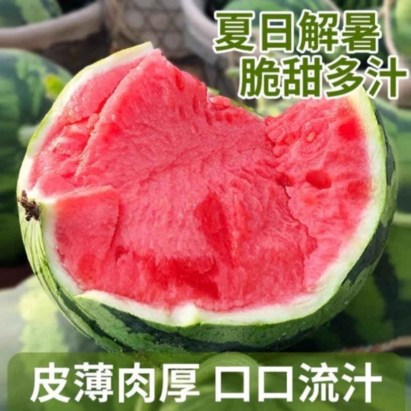 坏果包赔冰糖8424麒麟西瓜无籽有籽美都当季现摘皮薄多汁脆甜水果