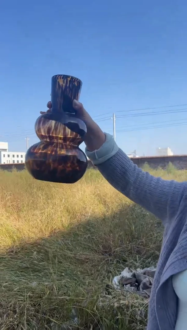 花瓶客厅餐桌插花装饰好物