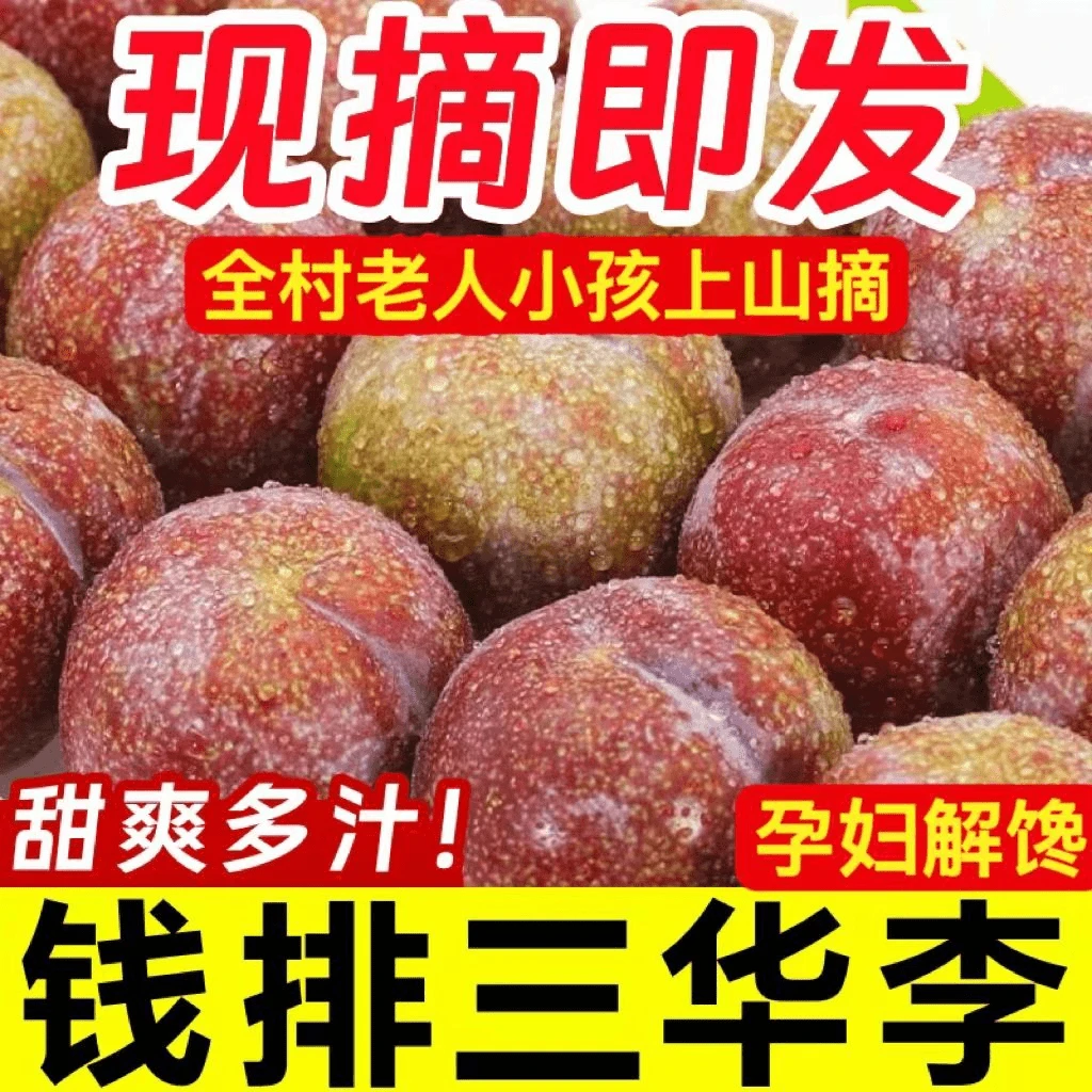 【现摘现发】正宗三华李红心新鲜现摘李子酸甜当季水果孕妇非三月李