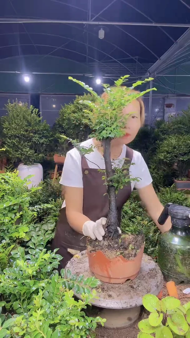 完全开放1111111111