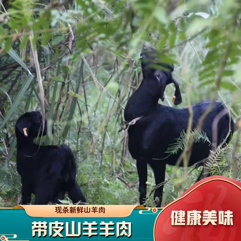 广西都安自养黑山羊（一称一拍）直播间改价