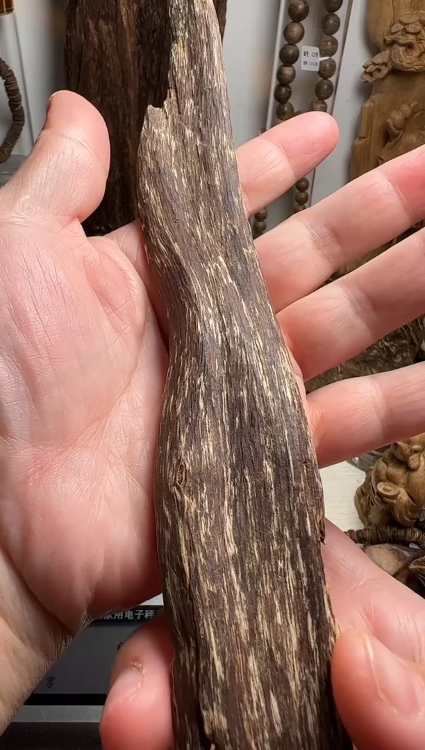 沉香沉香碎屑海南沉香虫漏14克