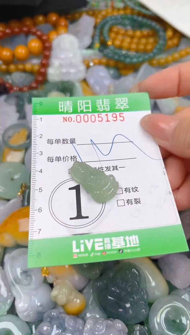 翡翠未镶嵌颈饰闪购0005195
