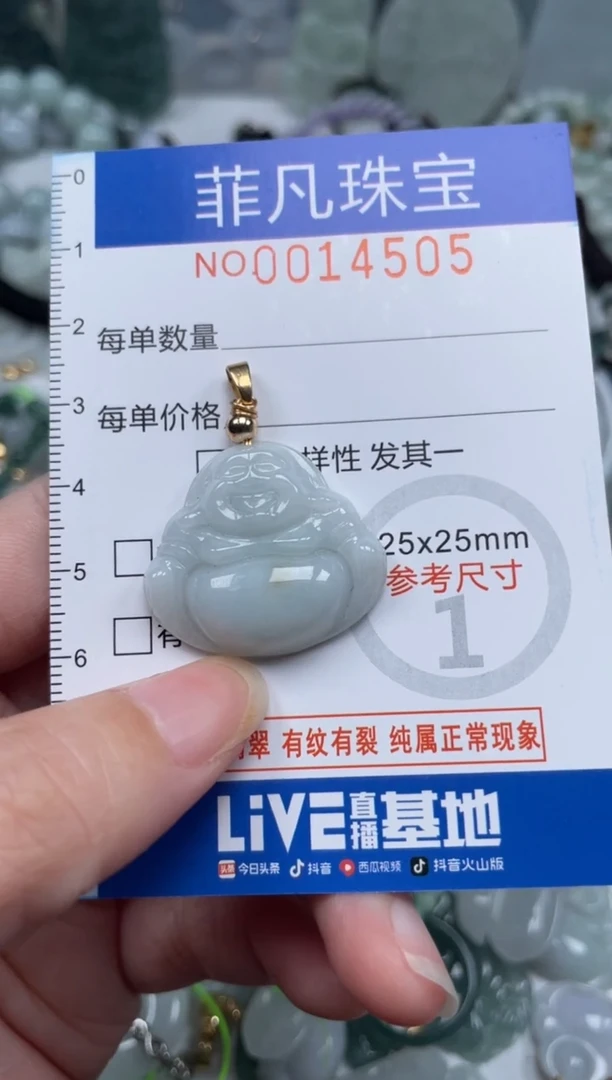 颈饰未镶嵌翡翠14505