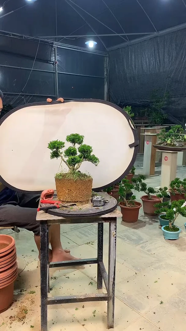 完全开放王****怕111111