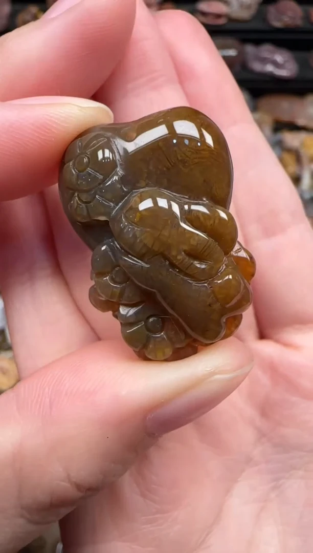 颈饰未镶嵌硅化珊瑚（珊瑚玉）611