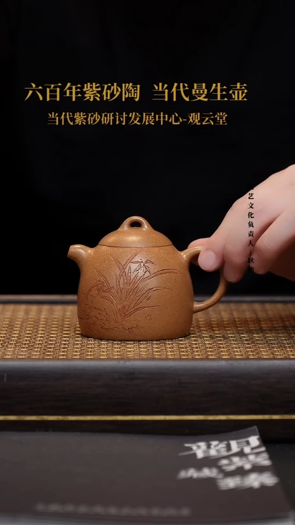 茶壶紫砂宜兴紫砂壶秦权