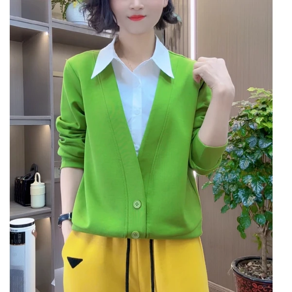 减龄气质休闲百搭时尚设计感洋气显瘦假两件衬衫领打底上衣