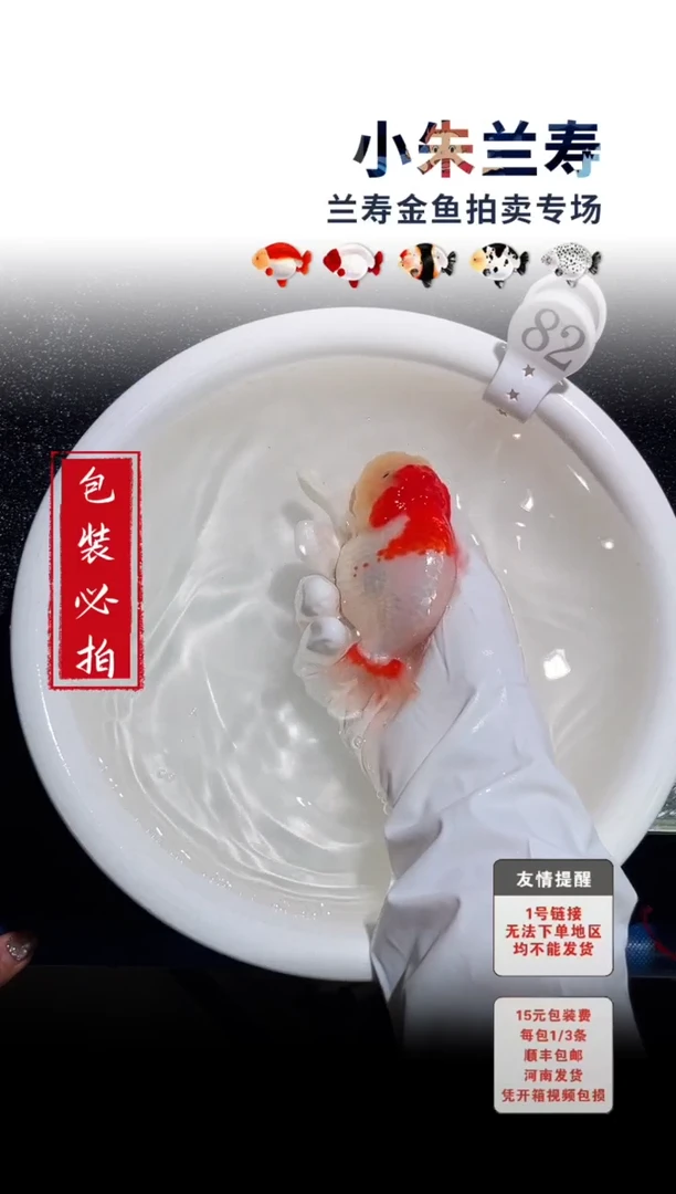 金鱼包装必拍未拍顺丰到付82号