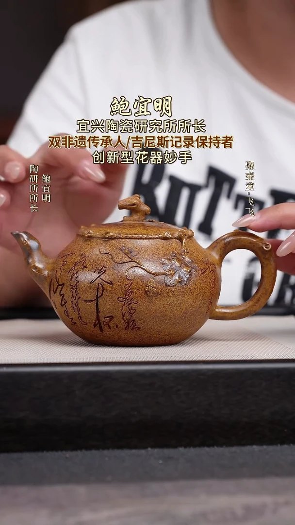 茶壶紫砂宜兴原矿紫砂壶