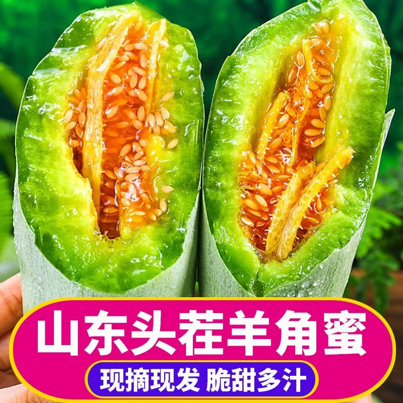 头茬羊角蜜甜瓜正宗山东蜜瓜应季新鲜水果鲜脆香甜美味多汁博洋