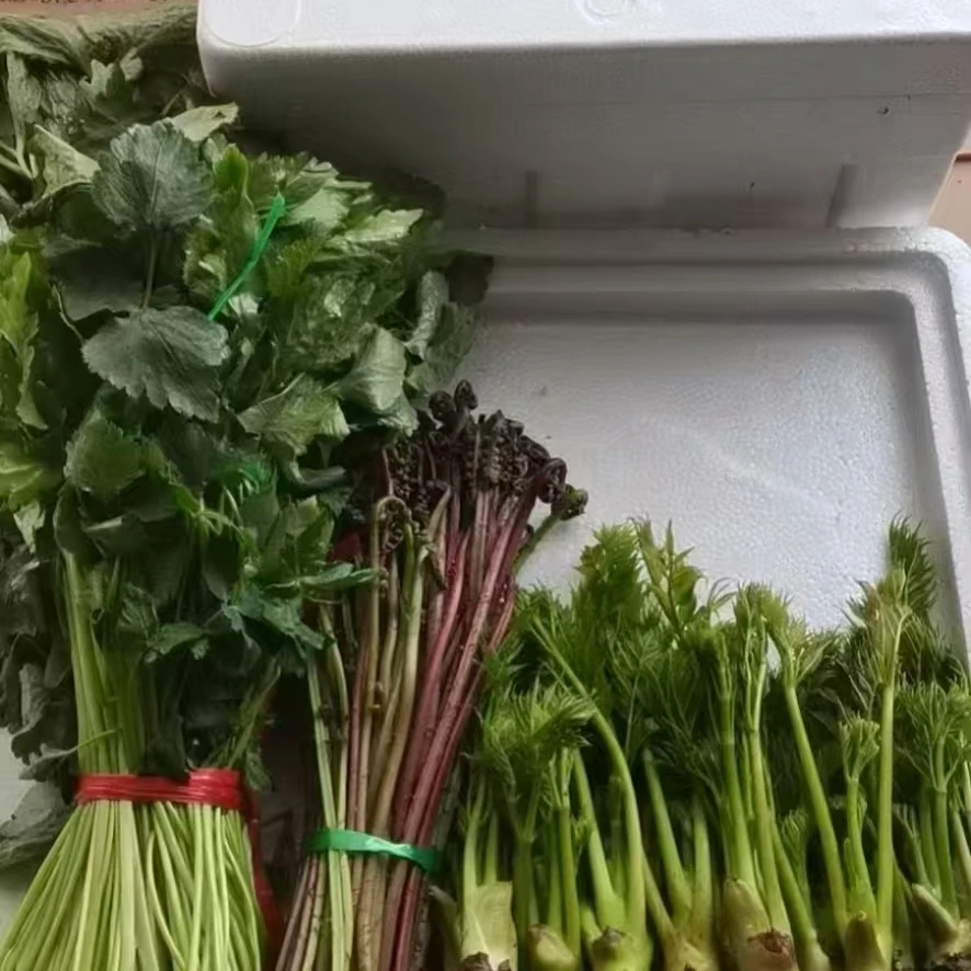 【精品】新鲜刺嫩芽2斤.猴腿1.5斤.大叶芹1.5斤包邮 (顺丰或京东)