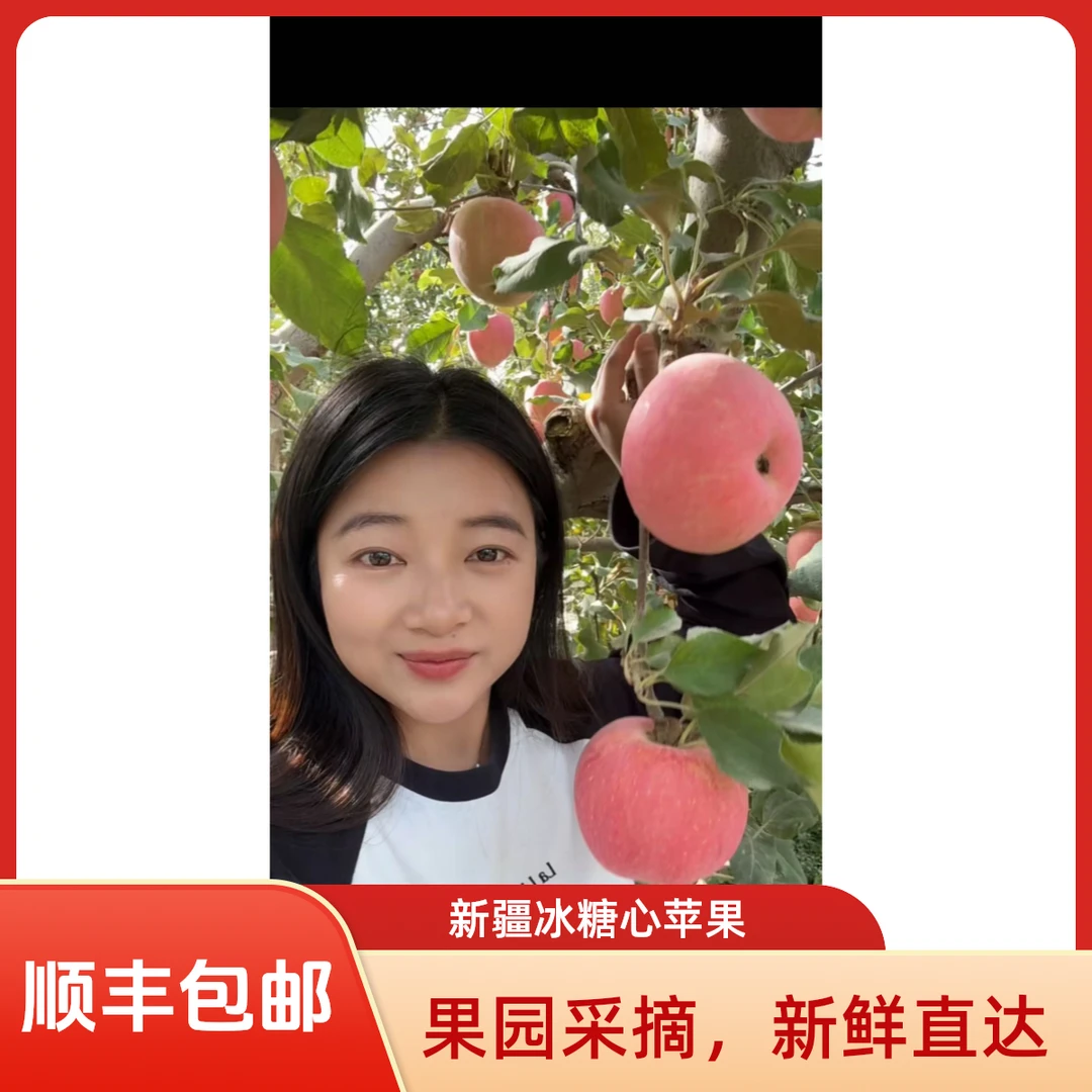 新疆正宗冰糖心苹果 核心产区果园现摘现发带土带灰 脆甜多汁