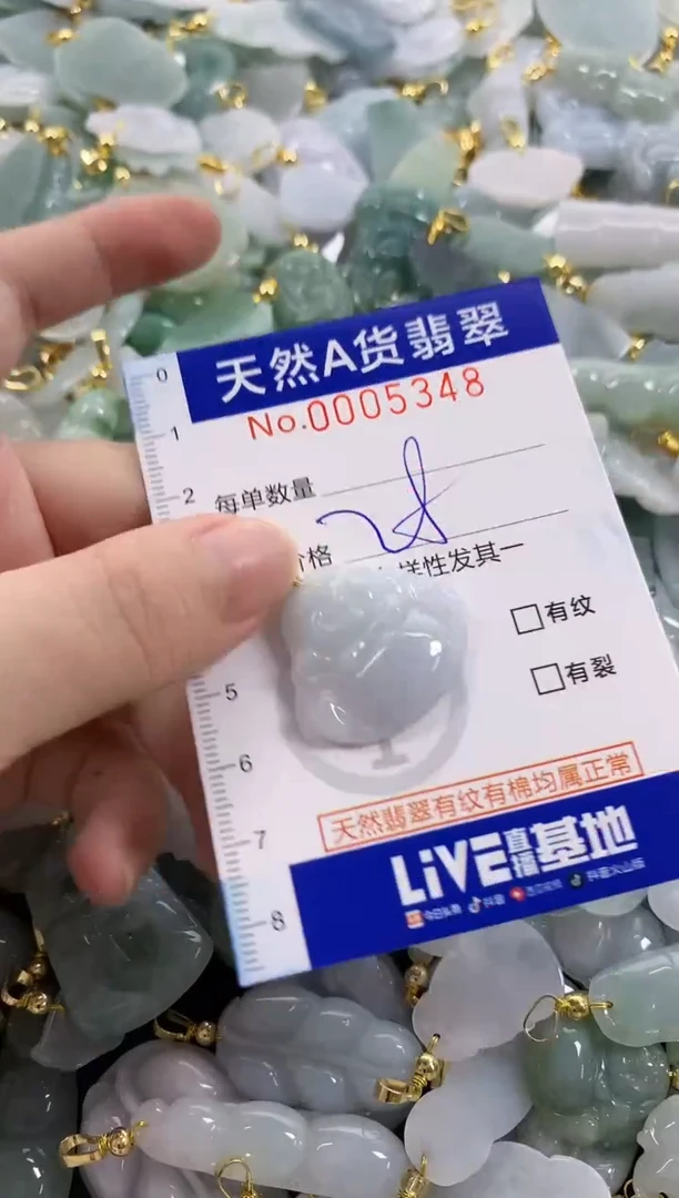 颈饰未镶嵌翡翠天然A货翡翠