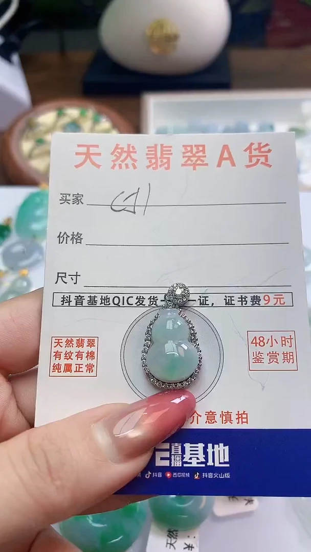 颈饰未镶嵌翡翠天然A货翡翠挂件