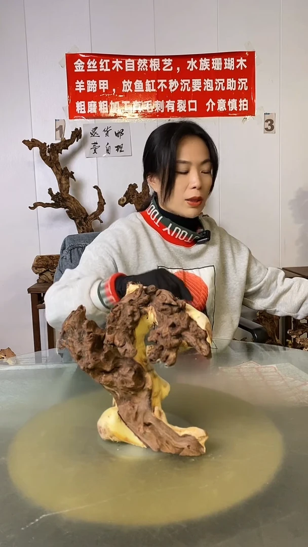 木(****）金丝红木  羊蹄甲