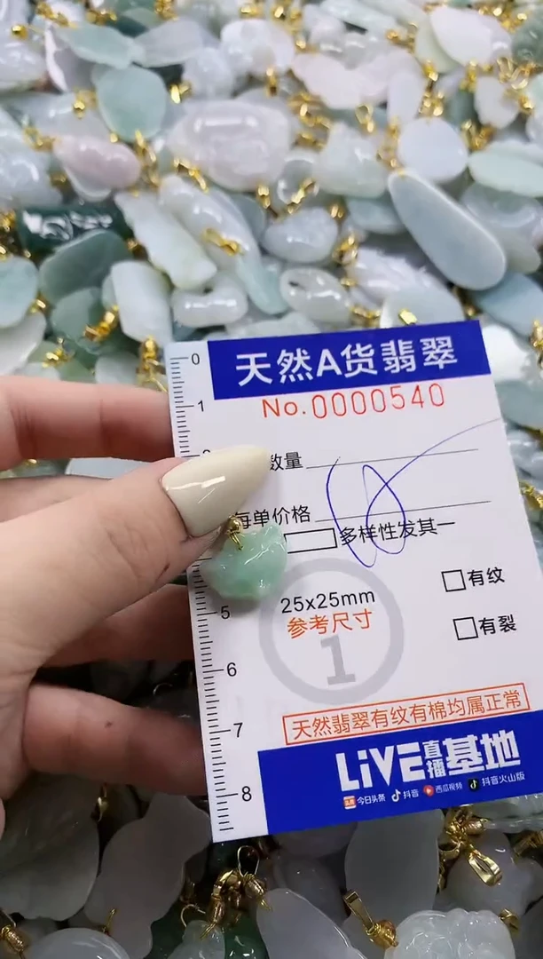 颈饰未镶嵌翡翠天然A货翡翠