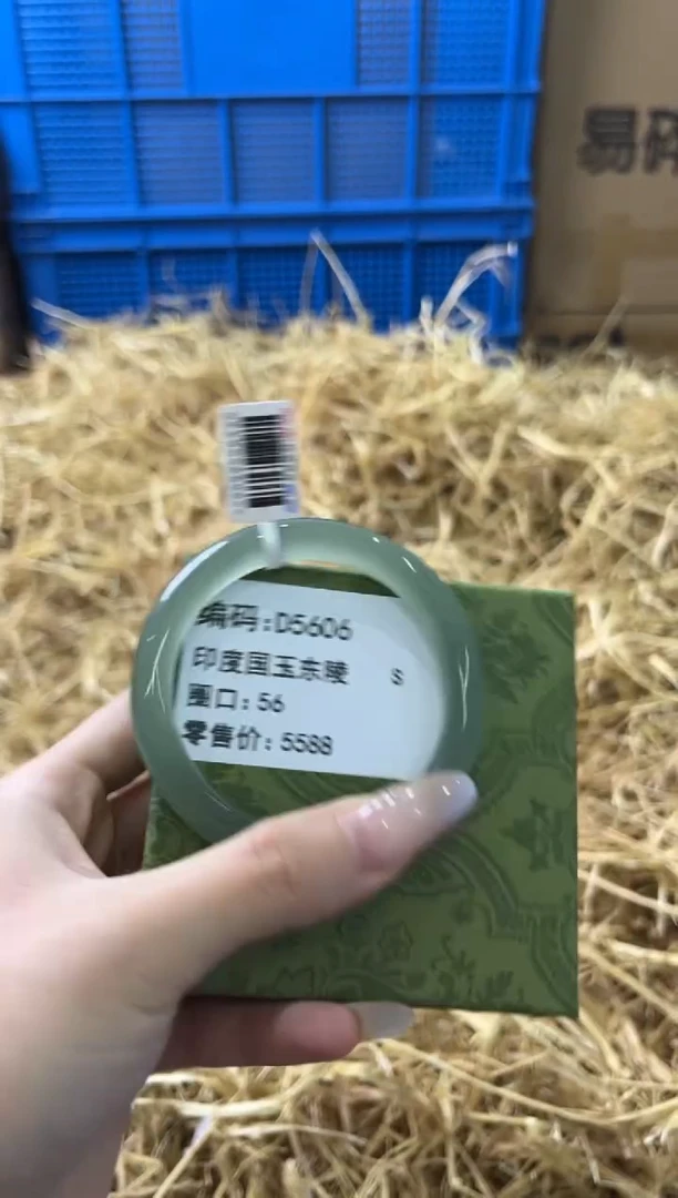 未镶嵌手镯石英质玉D5606