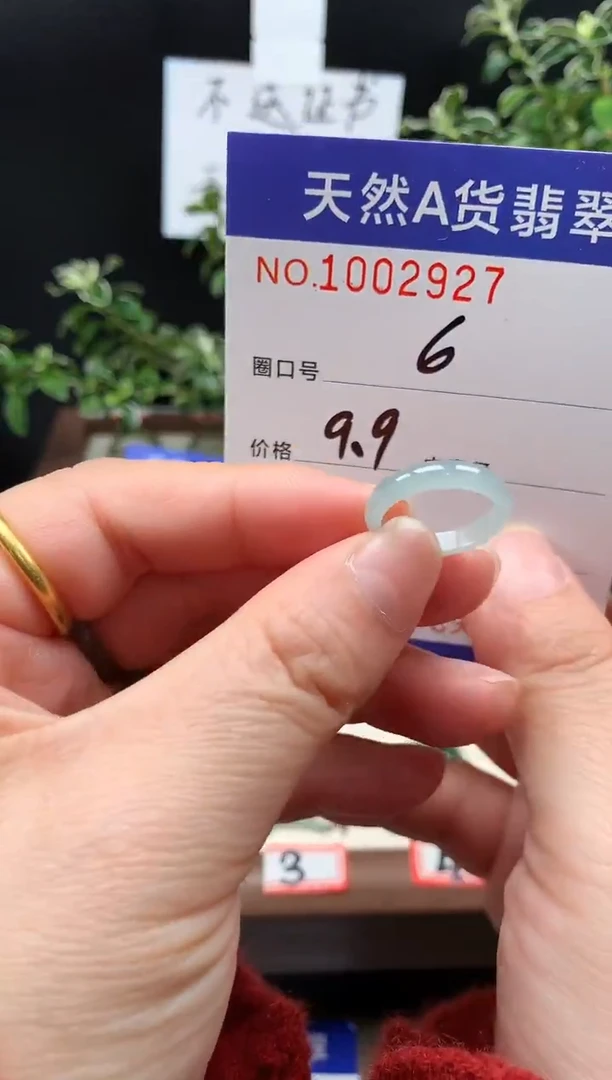 未镶嵌戒指翡翠6#