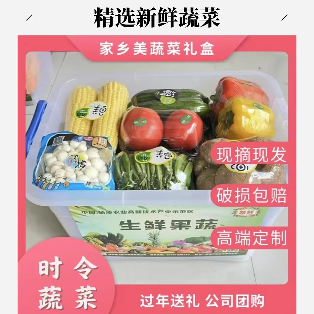 蔬菜礼盒套菜组合新鲜蔬菜现摘现发约9kg