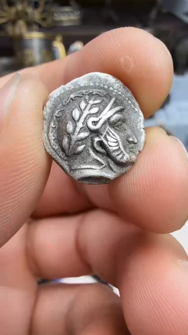 木*羽010 拉萨阿伟精品优选