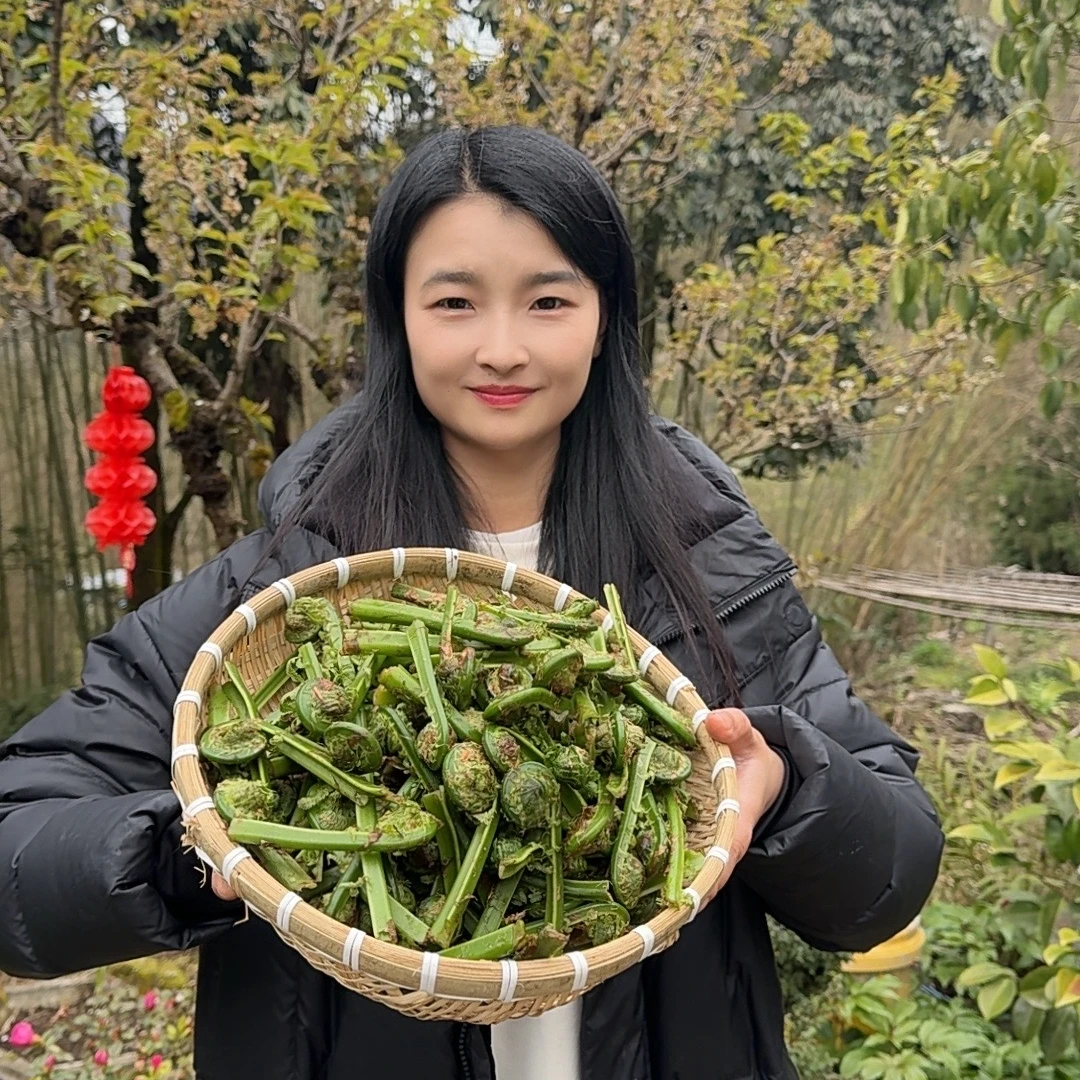 四川宝兴特产高山黄瓜香山野菜