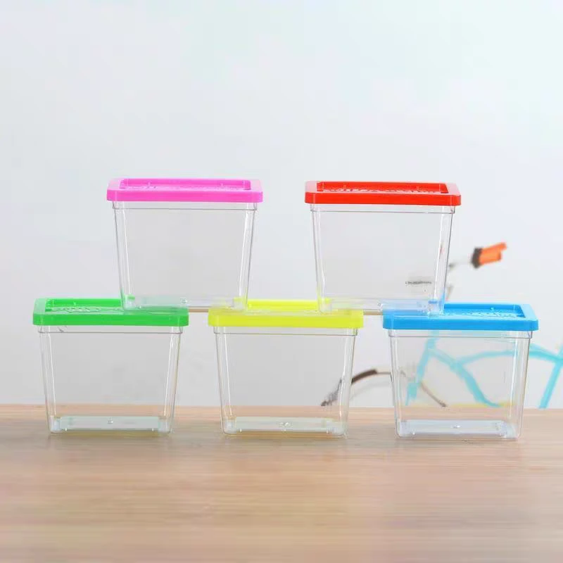 亚克力彩盖迷你小鱼缸海星缸