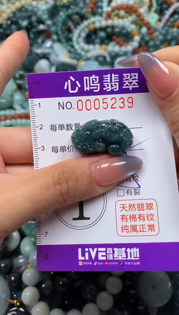颈饰未镶嵌翡翠闪购005239
