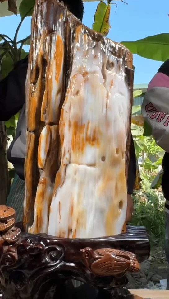 【闪购商品】硅化玉珠宝奇石未镶嵌拍一发一