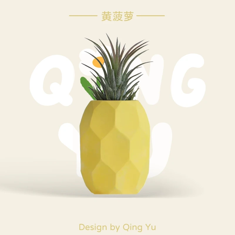 【菠萝空气凤梨】花卉绿植盆栽室内客厅桌面摆件懒人好养网红植物