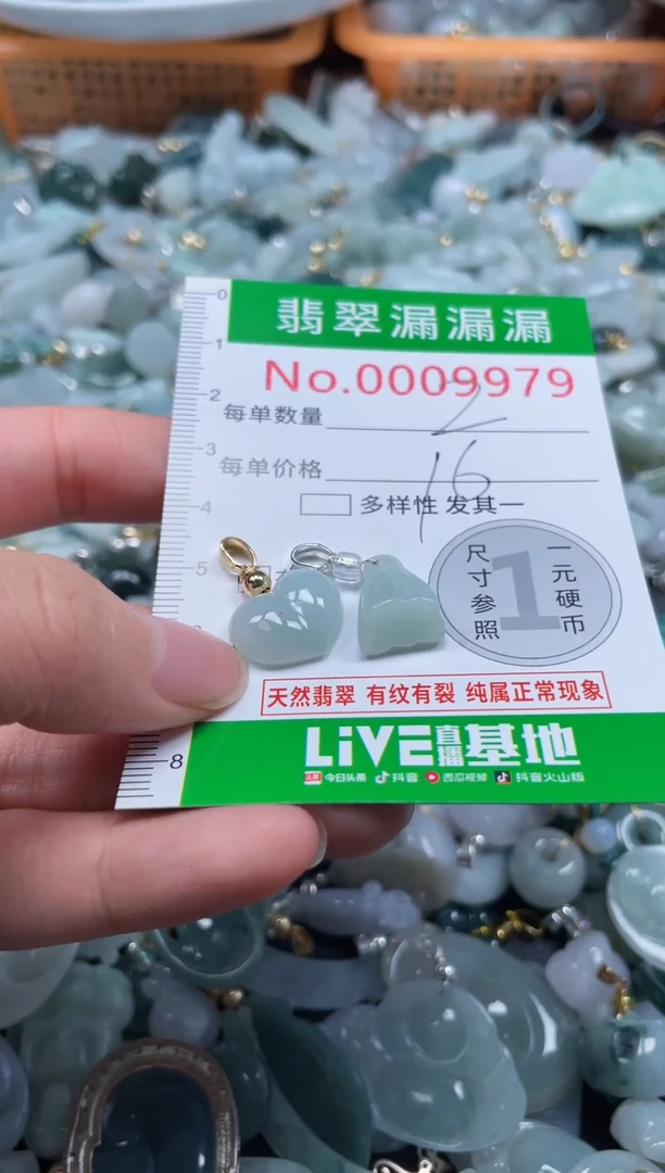 颈饰未镶嵌翡翠9979