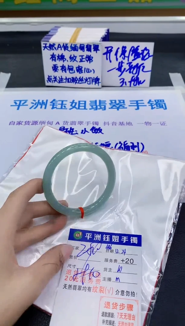 未镶嵌手镯翡翠11111